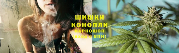 тгк Каменка