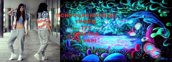 меф Алексин