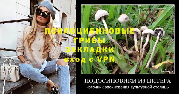 дурь Алзамай