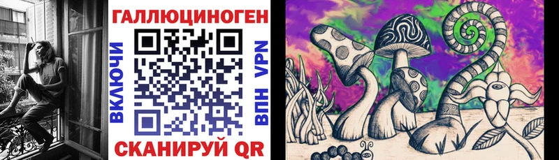 Псилоцибиновые грибы Cubensis blacksprut рабочий сайт Люберцы