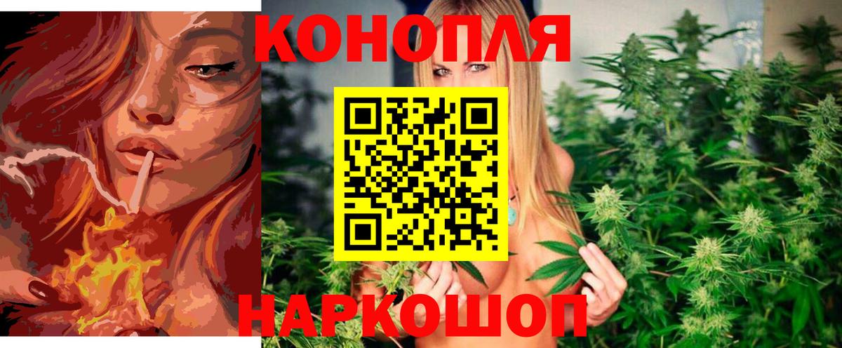 Конопля тримм  Конопля семена  Люберцы  Конопля сатива  Вход с VPN 